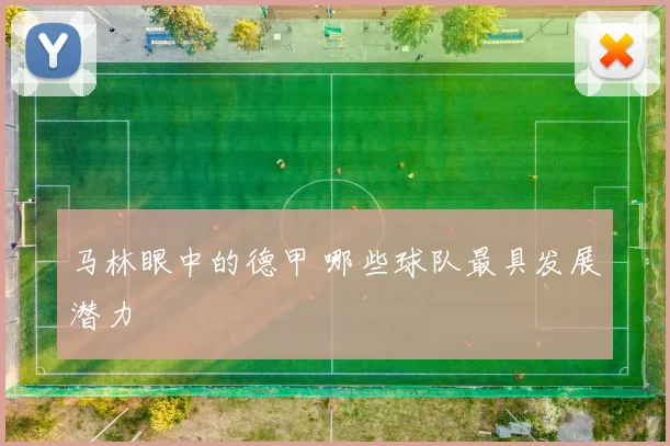 马林眼中的德甲 哪些球队最具发展潜力