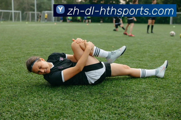 华体会登录入口平台生态图